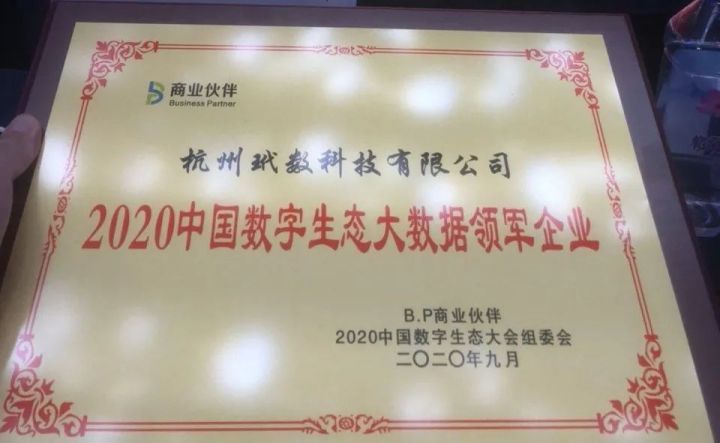 袋鼠云出席2020中国数字生态大会，荣获“大数据领军企业”称号