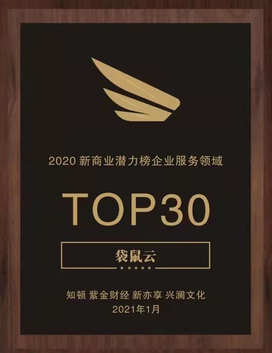 「2020新商业潜力评选」结果隆重揭晓，袋鼠云荣登榜单