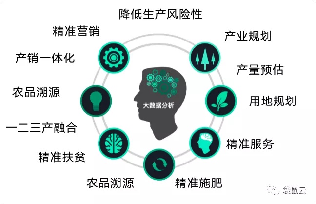 数字新基建指南|建设数字乡村,为乡村增“智”添“质” 数字新基建指南|建设数字乡村,为乡村增“智”添“质”